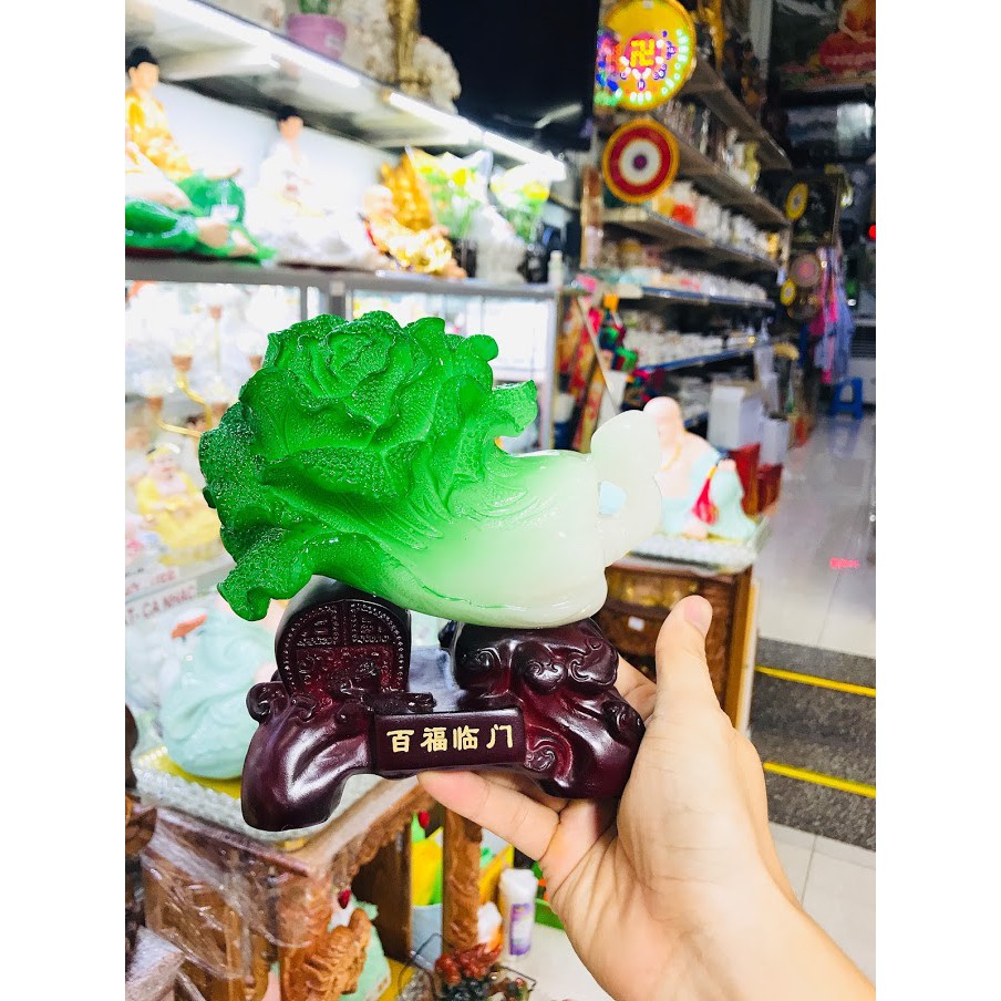 Bắp Cải Phong Thủy 2B ( 3 Mẫu )