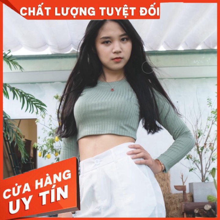 - Hàng nhập khẩu