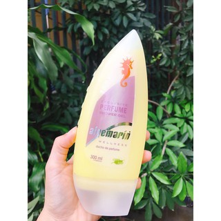 Sửa tắm cá ngựa