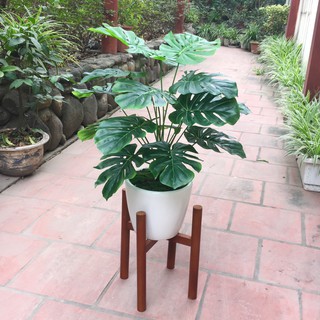 Cây giả - Cây lá xẻ giả trang trí cao 45cm không bao gồm chậu