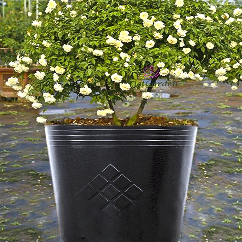 10 Chậu 40X32X32cm nhựa PE dẻo trồng cây bền từ 5 đến 10 năm-77112