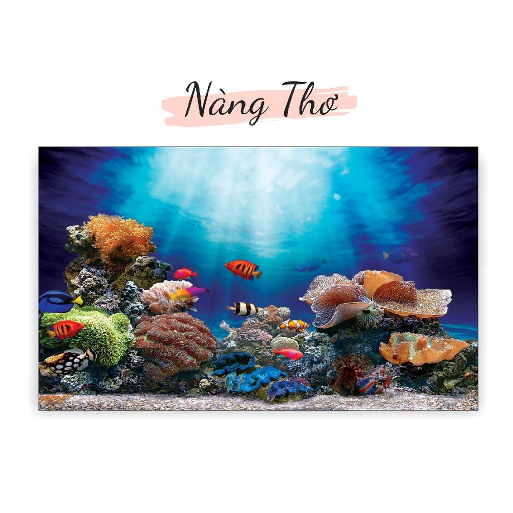 DECAL DÁN HỒ CÁ NHIỀU KÍCH THƯỚC_THIẾT KẾ NÀNG THƠ