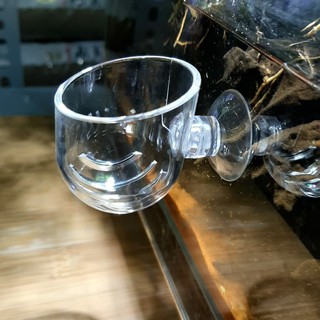Cốc Acrylic Mini Đa Năng | Cốc trồng cây | Cốc đựng trùn cho cá ăn | Plant Cup
