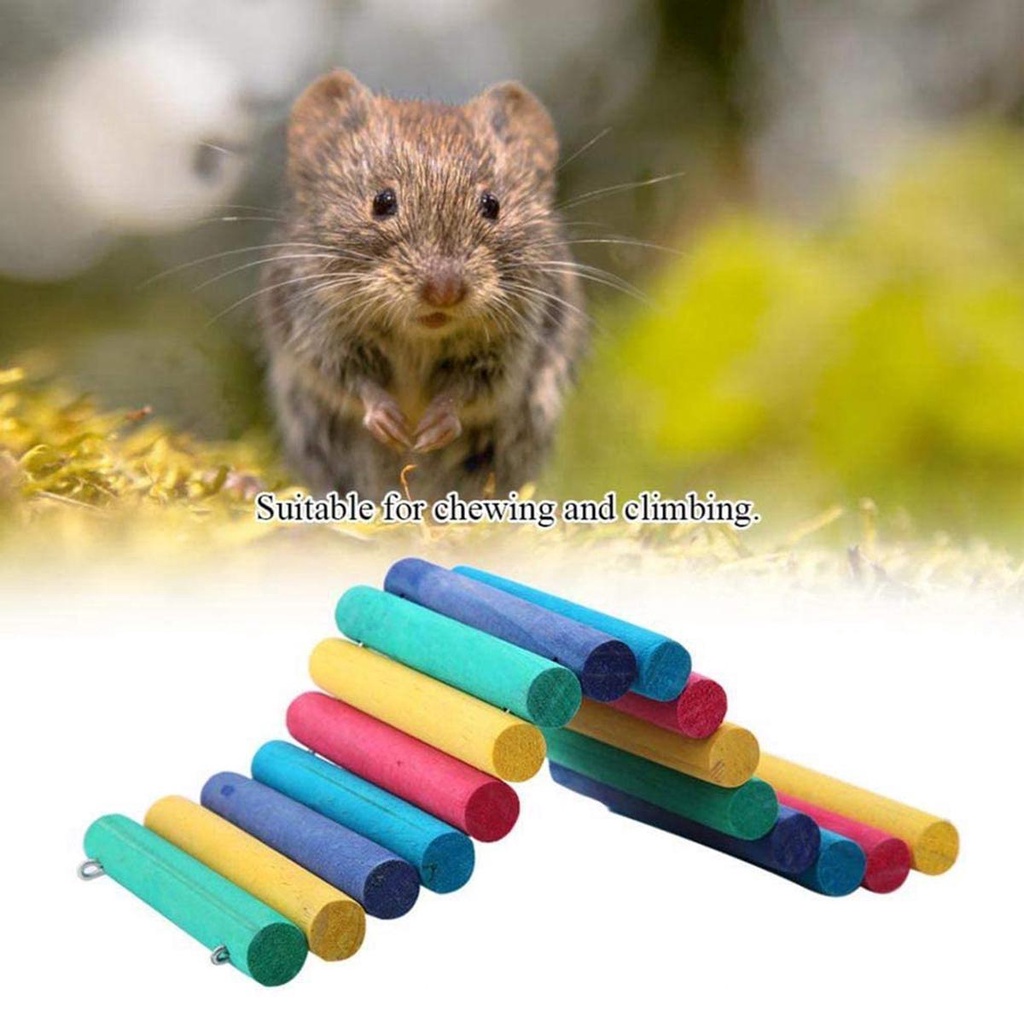 MOCHO Cầu Cầu Vồng Đồ Chơi Cho Chuột Hamster