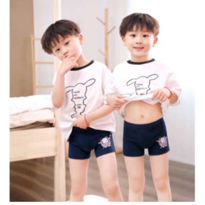 Children's underwear Cotton panties Boys underwear 100% cotton, cartoon print, for boys 2-13 years old (4 pcs / pack)
