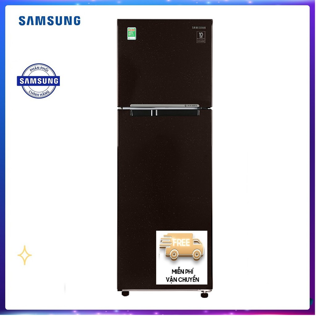 Tủ lạnh Samsung Inverter 256 lít RT25M4032BY/SV Mới 2020, Ngăn đông mềm trữ thịt cá không cần rã đông