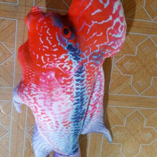 Gối Cá La Hán 3D hàng độc