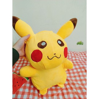Túi sưởi sạc điện PiKaChu