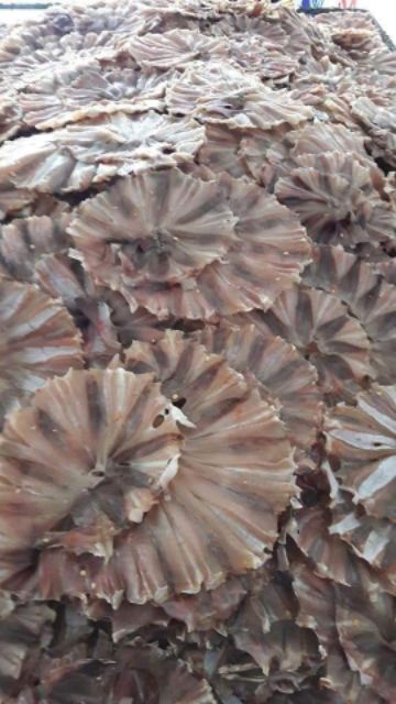 Cá đuối khô tẩm gia vị  Trọng lượng 1kg  xuất xứ Gò Công  hạn sử dụng 6 tháng ☘️☘️☘️   Khô cá đuối rất tiện dùng vì...