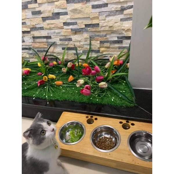 Khay ăn bằng gỗ cho mèo kèm bát