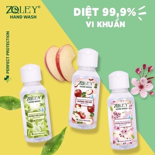 Dung Dịch Nước Rửa Tay Diệt Khuẩn Zoley