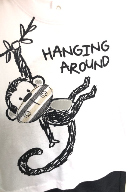 Bộ koalakids