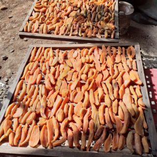 Khoai lang dẻo đà lạt