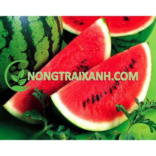 3GR - HẠT GIỐNG DƯA HẤU TRÒN RUỘT ĐỎ