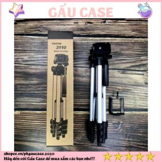 Gậy 3Tripod 3110 105cm chuyên chụp hình live stream....