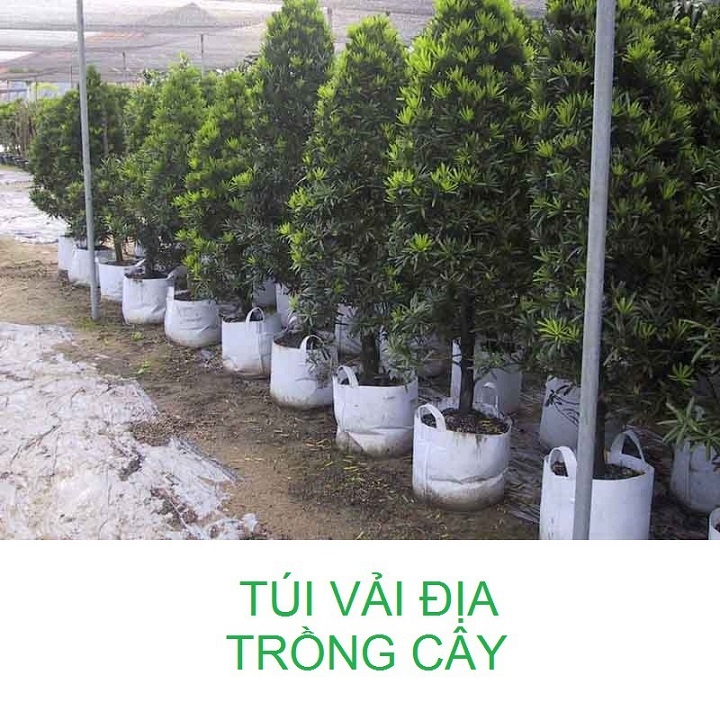 [FreeShip] Túi Vải Trồng Cây 2 Quai Xách Kích Thước 30x25cm