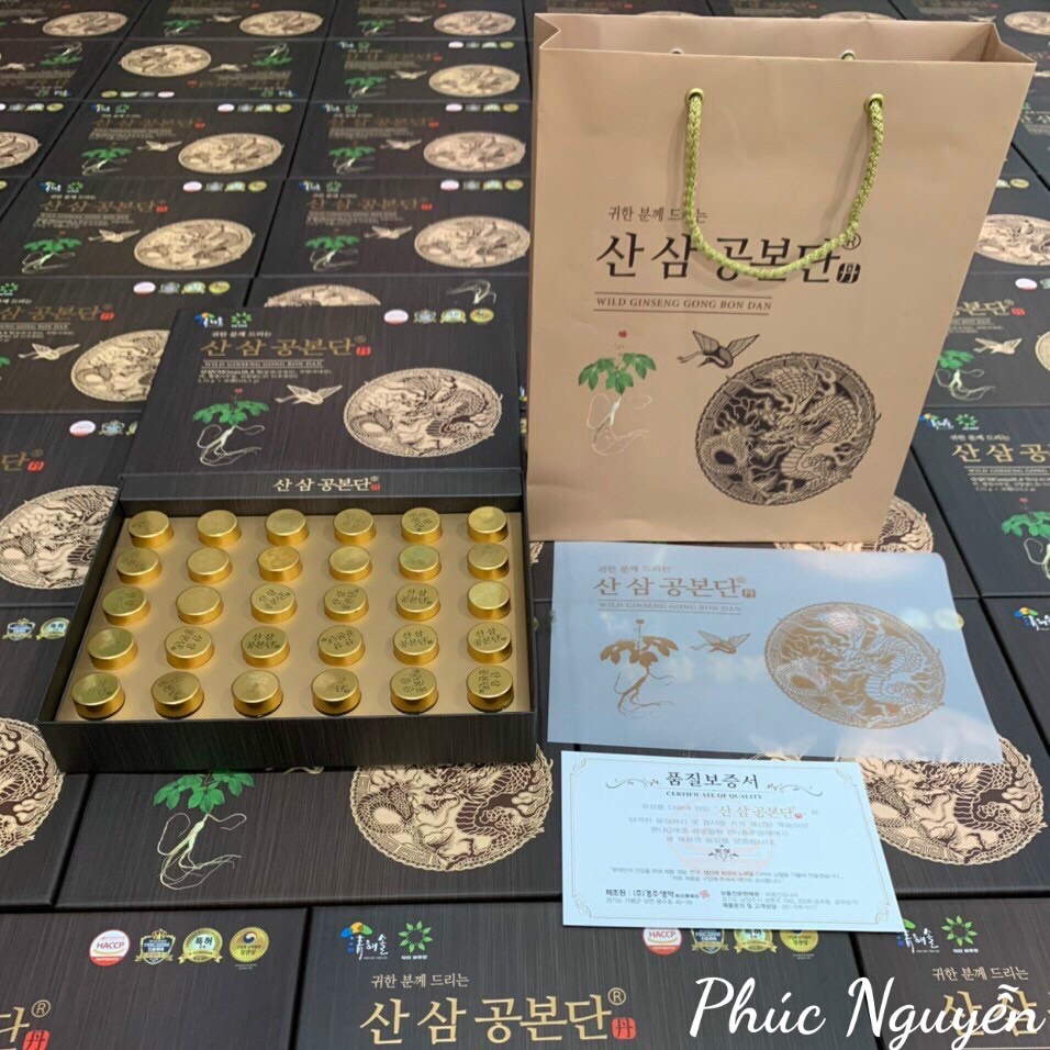 Viên Nhân Sâm Núi Wild Ginseng Gong Bon Dan Hàn Quốc - Hộp gỗ 30 viên