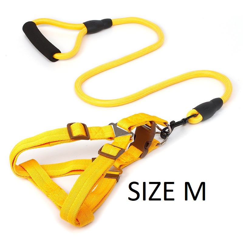 DÂY DẮT CHO CHÓ MÈO CÓ YẾM