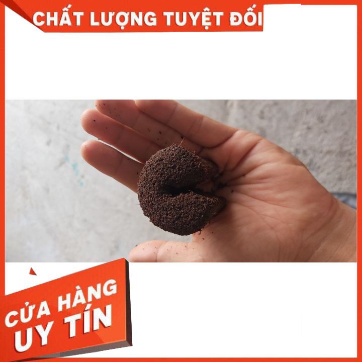 Đồ làm vườn, chiết cây Mút ươm kie Hà Lan size đại