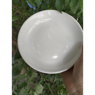Dĩa sứ trắng size 7 inch
