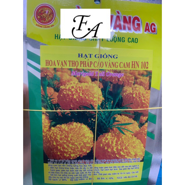 Hạt giống vạn thọ cao F1 bông to HN 102 ( 75-80 hạt ) giá rẻ