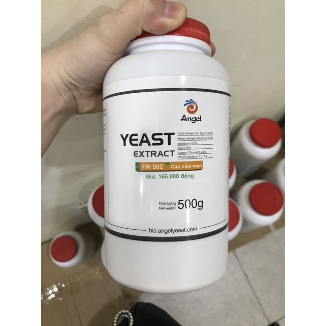 Cao nấm men yeast extract FM902 500g nuôi cấy vi sinh, đông trùng hạ thảo hãng Angel