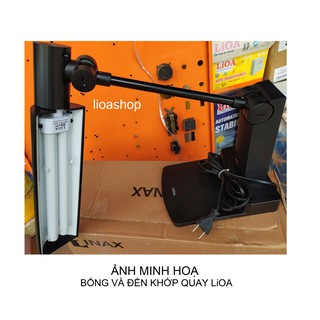 BÓNG ĐÈN BÀN LiOA