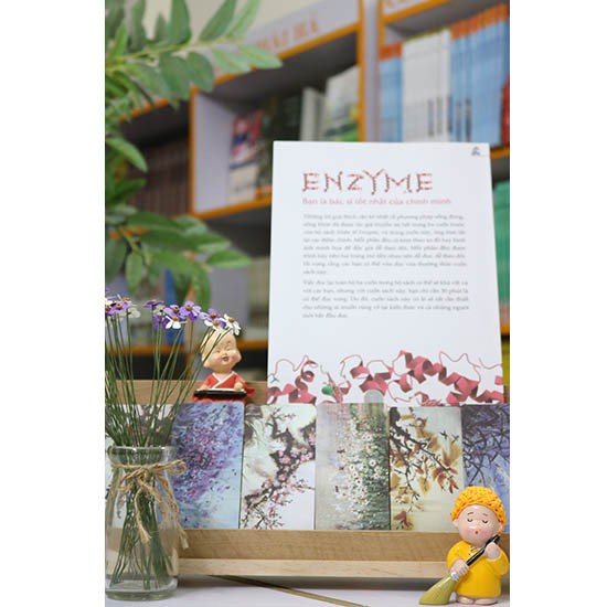 Sách - Nhân Tố Enzyme - Minh Họa - Thái Hà Books