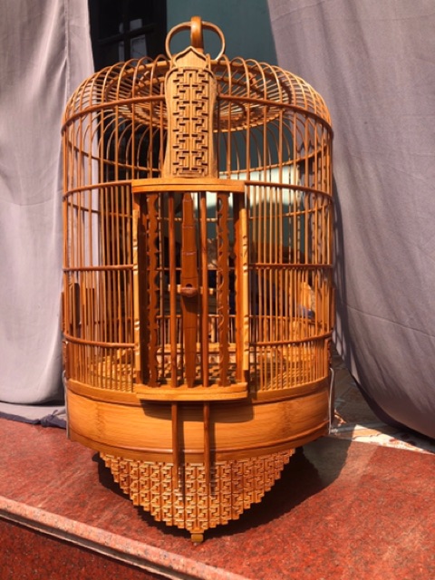 Lồng mi đục chiện