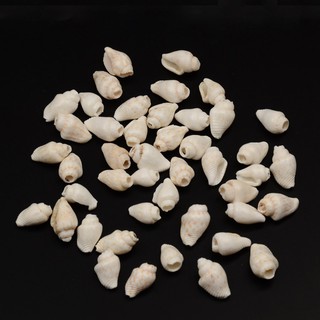 Set 160 Vỏ Ốc Làm Trang Sức