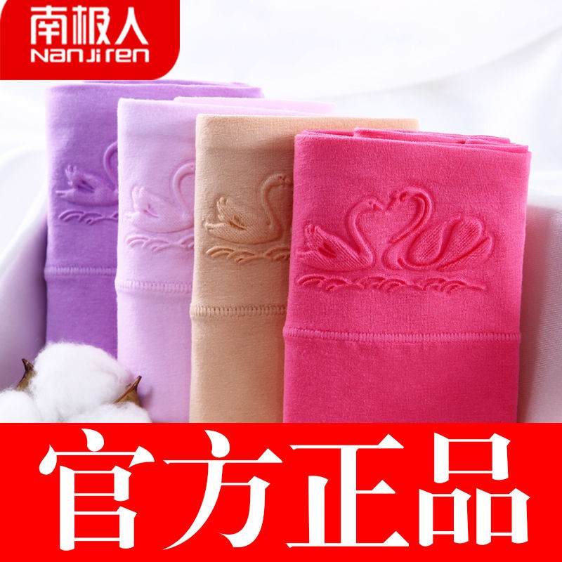 Quần lót, kháng khuẩn, nịt bụng, quần sịp