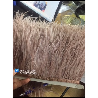 Lông đà điểu thời trang cao cấp (80k/m)