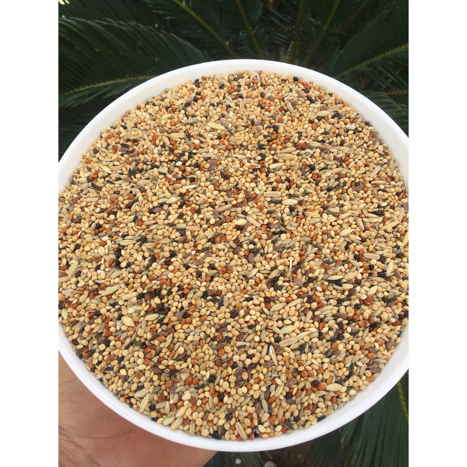1kg hạt trộn cho chim yến phụng