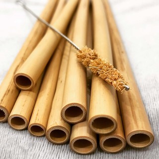 ỐNG HÚT TRE THÂN THIỆN VỚI MÔI TRƯỜNG