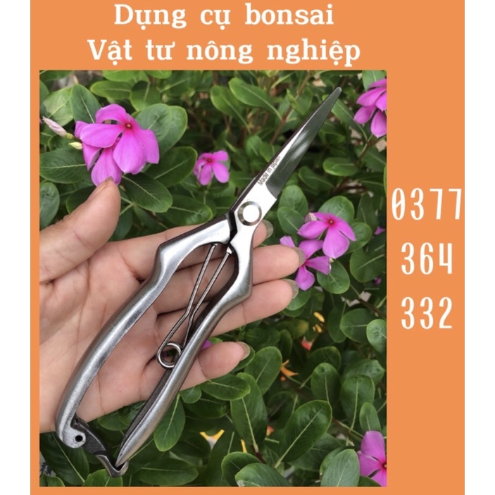 Kéo thép đúc trắng nguyên khối  nói không với rỉ sét ,siêu đẹp,Siêu xinh