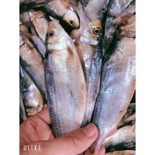 500g khô cá trích nguyên con không chất bảo quản rẻ ngon
