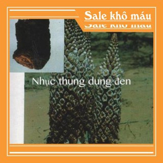[HÀNG CHUẨN LOẠI 1] 100g Nhục Thung Dung