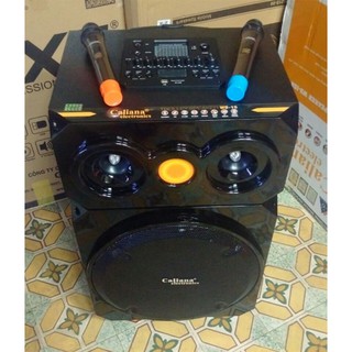 Loa kéo Bluetooth CALIANA WD-15