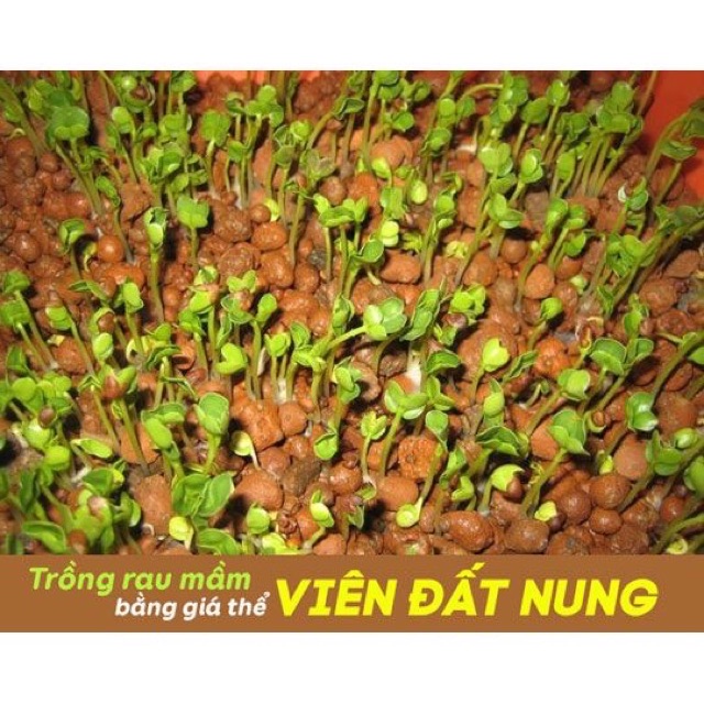 [OOOSHOP] - Đất nung Sfarm trồng rau mầm, sen đá, trộn đất trồng cây, lọc nước..