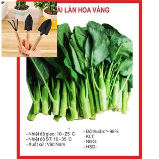 Hạt Giống Cải làn hoa vàng 15gr ~3500 Hạt TẶNG BỘ LÀM VƯƠN MINI