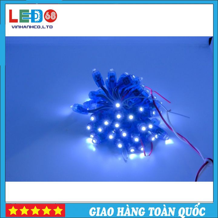 LED đúc F7 Đế 12 Bhống Nước Điện 5V Bóng Led Đẹp, Màu Sắc Nổi Bật