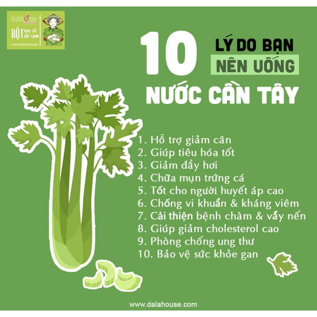 Bột CẦN TÂY Dalahouse sấy lạnh nguyên chất 100% Organic, DATE MỚI NHẤT, Gói 150g
