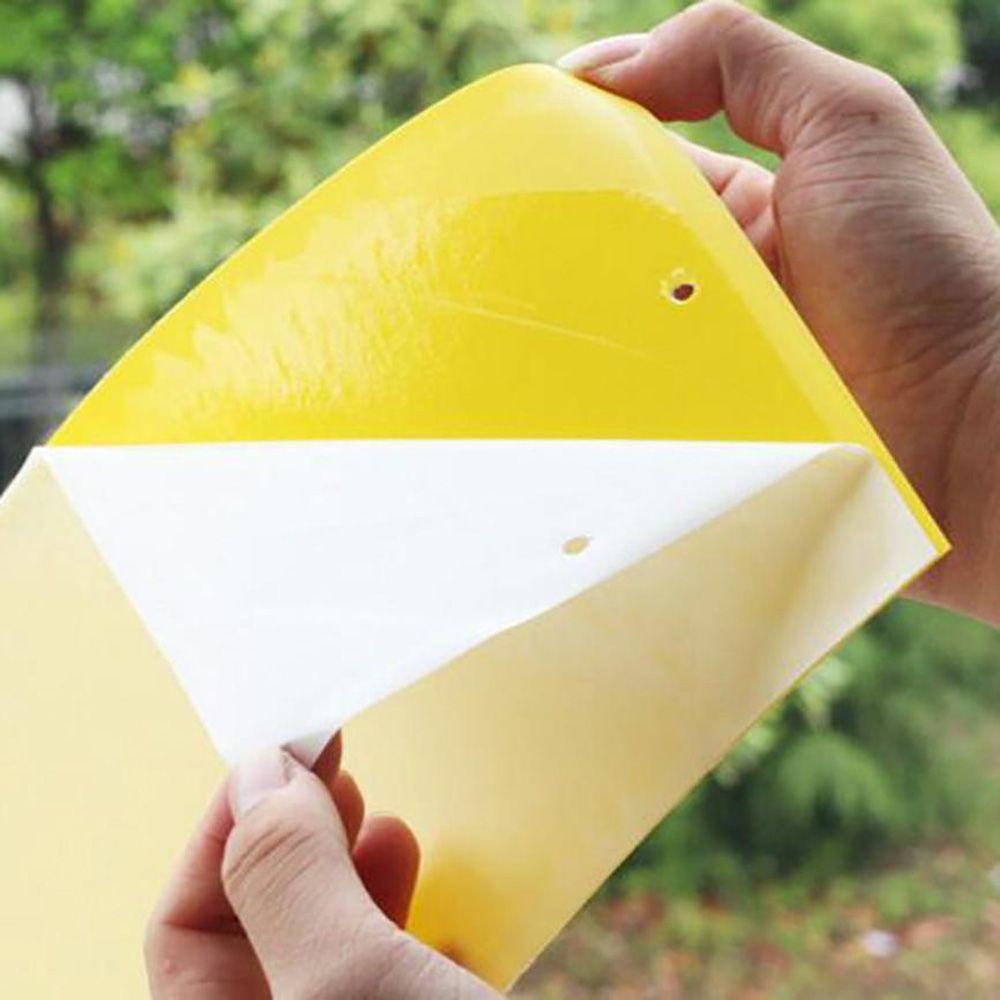 Set 5 Keo Dán Bẫy Ruồi Muỗi / Côn Trùng Treo Nông Trại Ngoài Trời