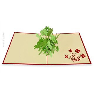 Thiệp chúc mừng 3D sinh nhật - hoa may mắn