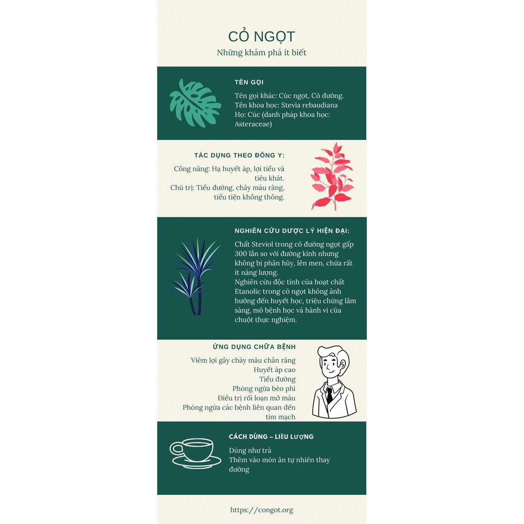 [100g] Cỏ ngọt sấy khô - dùng pha trà hoặc nấu ăn | BigBuy360 - bigbuy360.vn