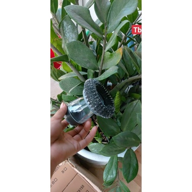 Dụng cụ cọ rửa đa năng, cọ xoong nồi, cọ bếp, cọ rửa bát đĩa có bình chứa tiện lợi