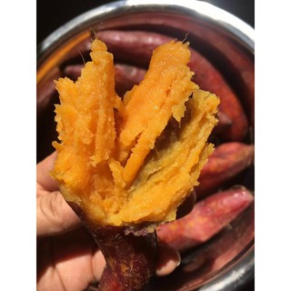 - Khoai Lang