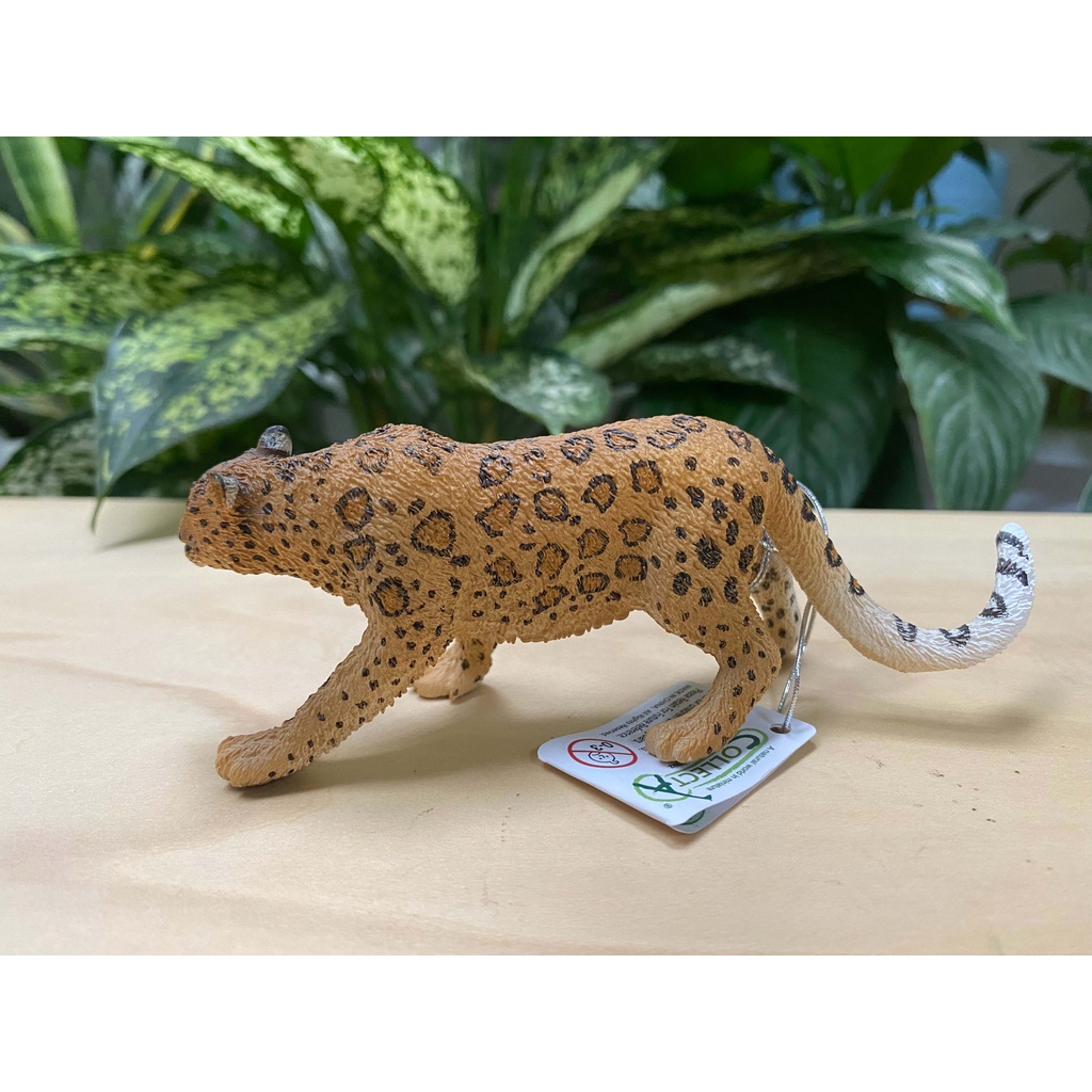 Mô hình động vật: Báo Hoa Mai