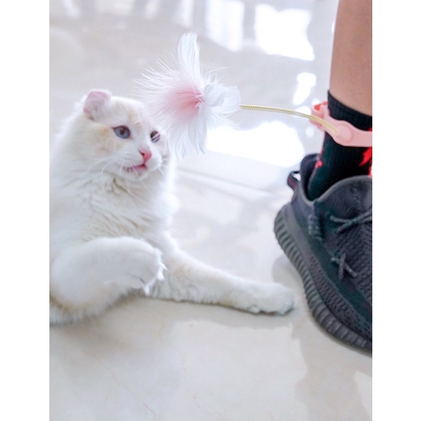 [Petseek cat toy] Cần câu tự chơi cho mèo vui nhộn, vòng đeo cần câu ngộ nghĩnh xinh xắn