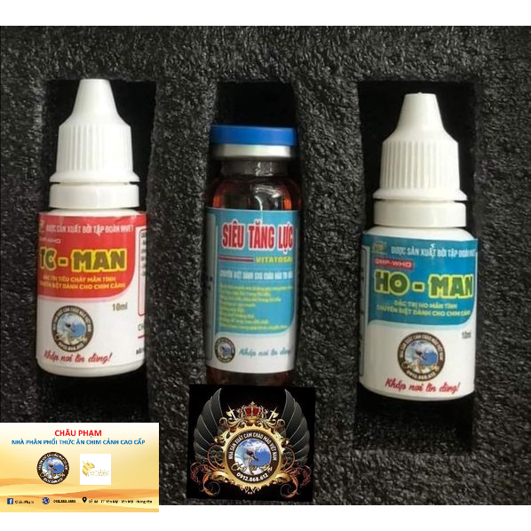 HO Man TC Man Lão Đại